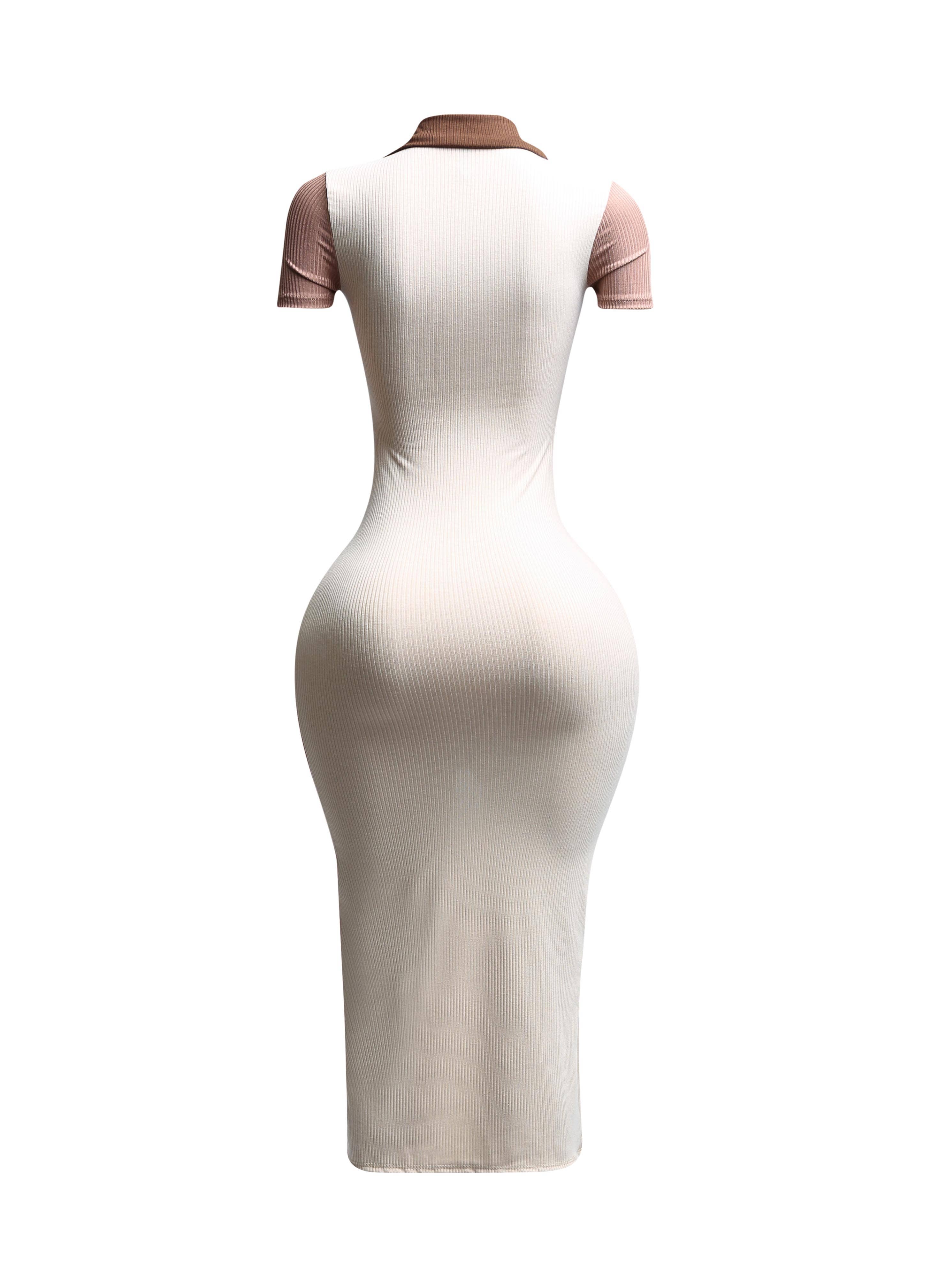 PLUS SIZED Color blocked zipper closure dress