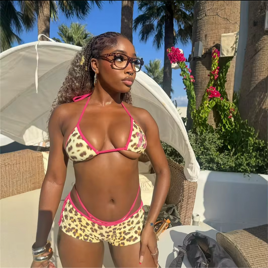 Vacation cheetah