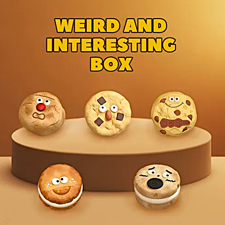 Whacky Cookies Slow Rise PU Squishy Mystery Box