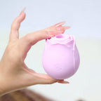 Rose Toy Pink modern decorative accessory